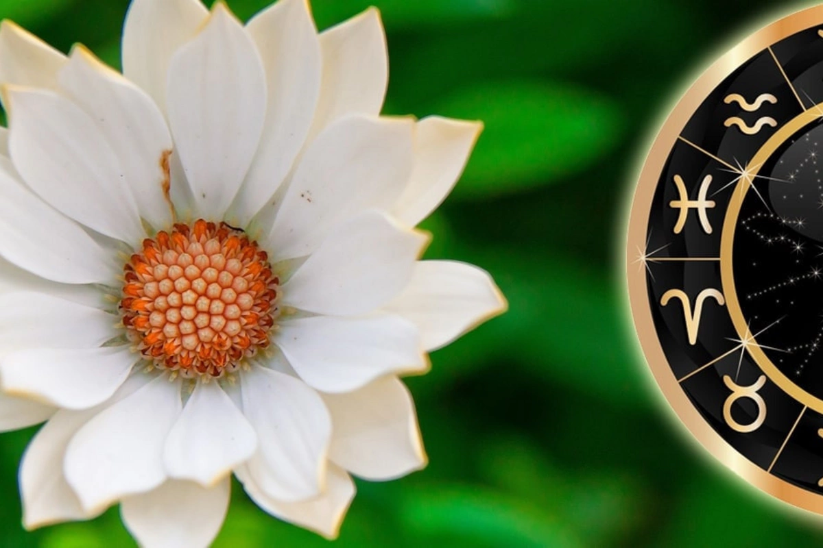 2 знака зодиака, которые приносят счастье и покой окружающим