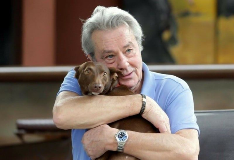 Ален Делон будет похоронен в часовне рядом с его собаками