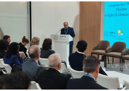 Алиреза Джахангири: Продолжение снижения уровня Каспия может иметь разрушительные последствия