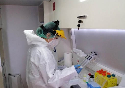 АПБА: В Азербайджане не зарегистрировано ни одного случая птичьего гриппа