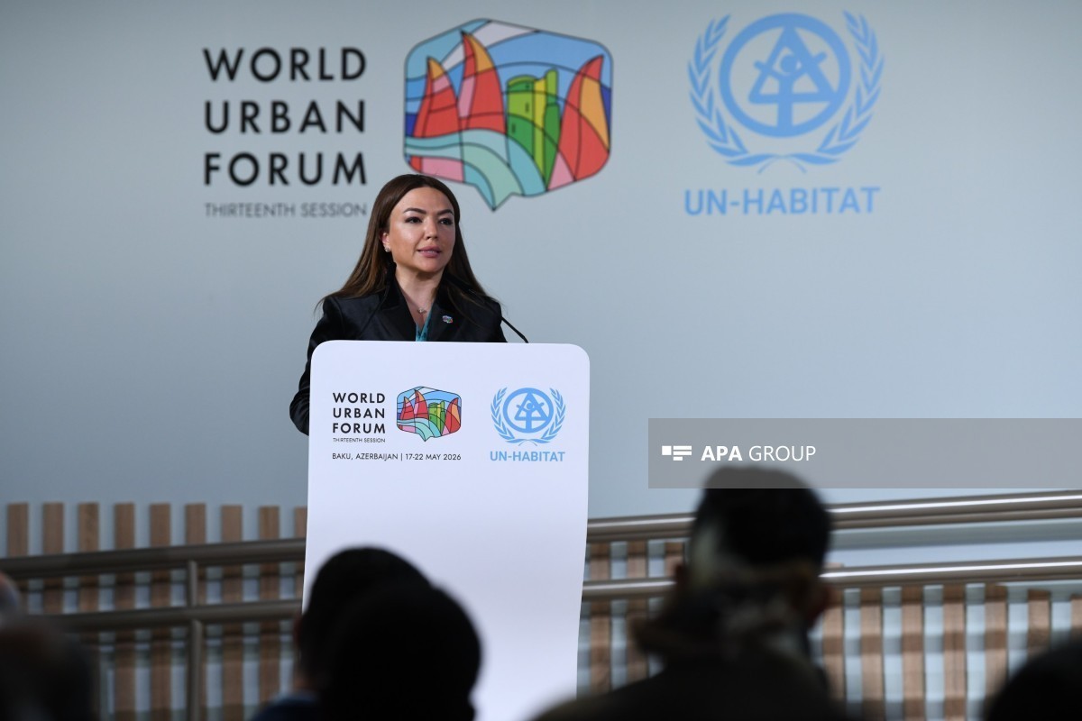 Айгюн Алиева рассказала о включении Форума НПО в официальную программу WUF впервые в истории