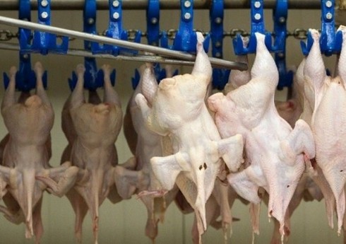 Азербайджан импортировал мясо птицы из Липецка