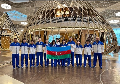 Азербайджан на турнире по настольному теннису в Дубае представят 10 спортсменов