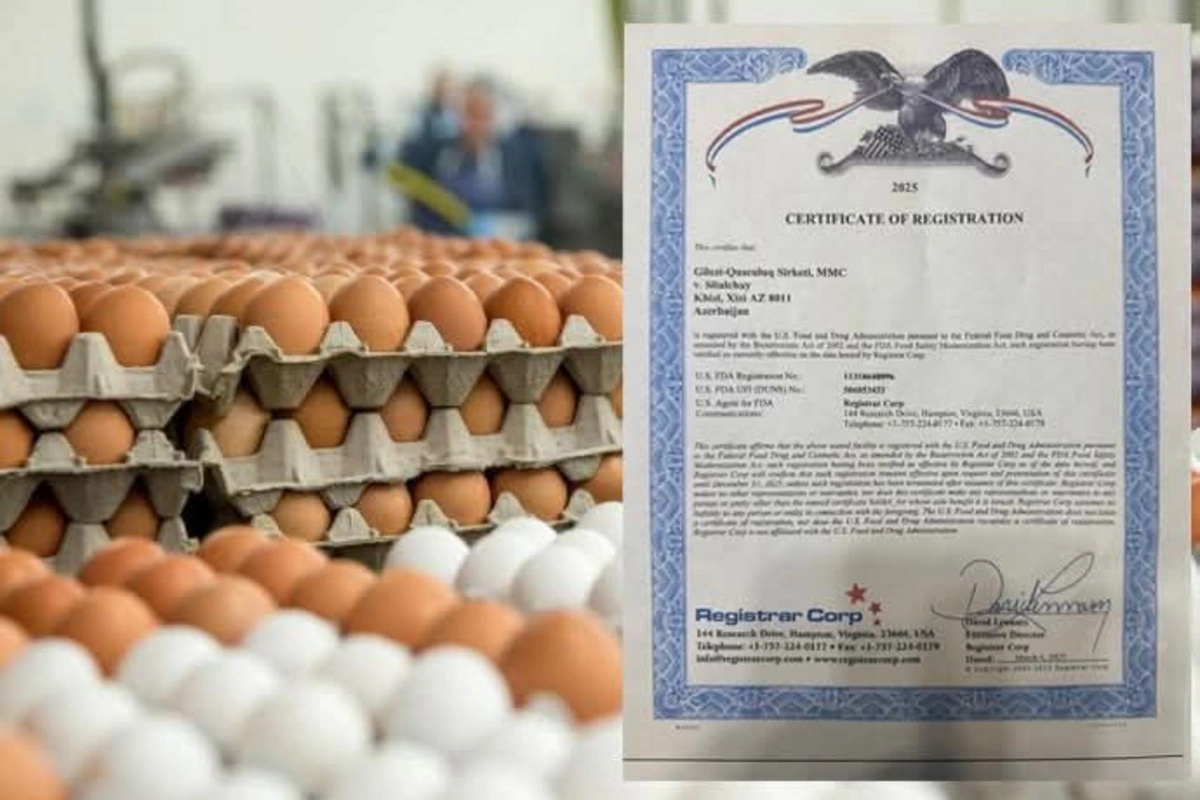 Азербайджан начнет поставки яиц в США