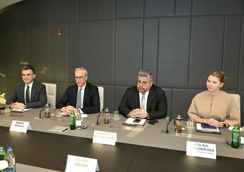 Азербайджан обсудил проекты "зеленой" энергетики с ACWA Power