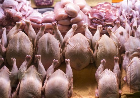 Азербайджан ограничил ввоз продукции из птичьего мяса пяти зарубежных компаний