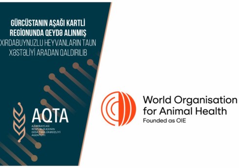 Азербайджан снял ограничения на поставки МРС из Грузии