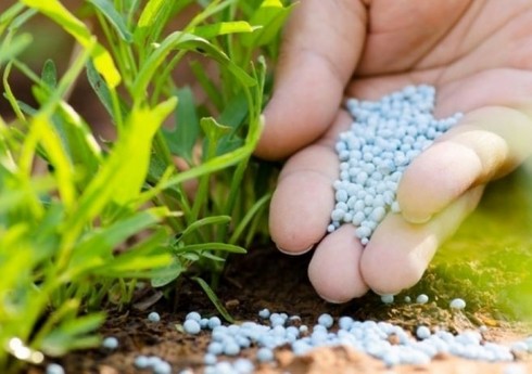 Азербайджан за 8 месяцев экспортировал азотные удобрения на 79 млн долларов