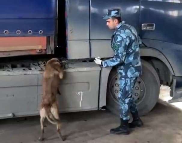 Азербайджанские таможенники обнаружили более 100 кг наркотиков в фуре, следовавшей из Ирана в Турцию