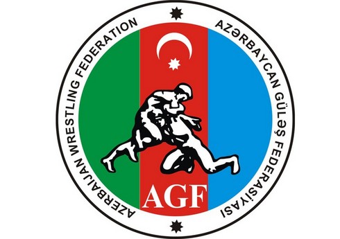 Азербайджанские вольники не смогли завоевать медали на чемпионате мира