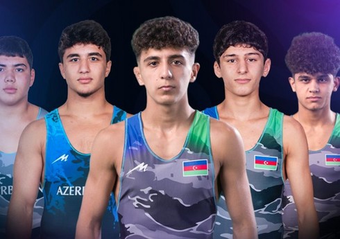 Азербайджанский борец вышел в финал чемпионата мира