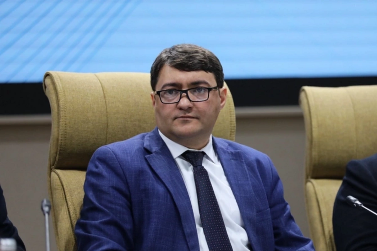 Азиз Алибейли: Звонок Эрдогана Ильхаму Алиеву - это удар по антиазербайджанским группам