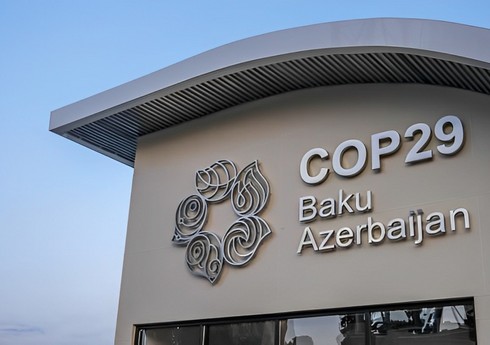 Баку демонстрирует готовность к проведению климатической конференции COP29