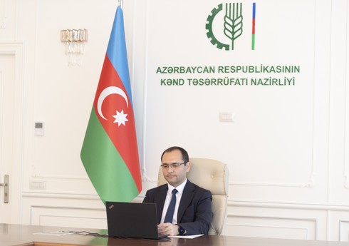 Бизнес-миссия ведущих экспортеров зерна из России посетит Азербайджан в мае