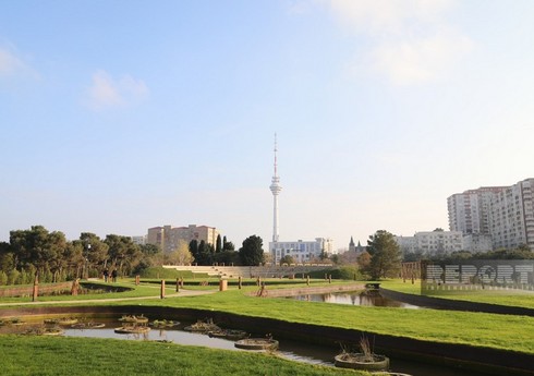 Центральный ботанический сад выбрал аудитора