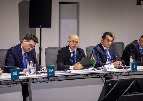 CESI представила в Баку отчет по предварительным данным ТЭО проекта Black Sea Energy
