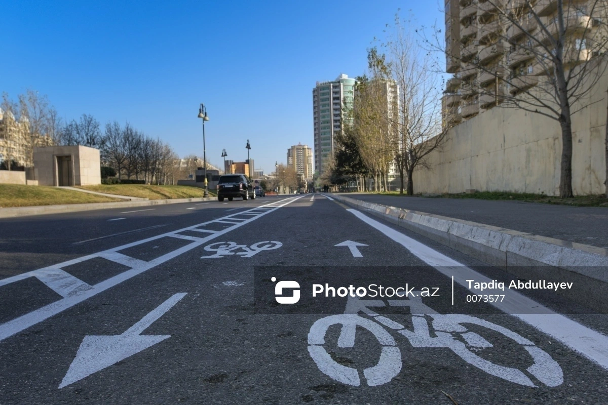 Что чаще становится причиной ДТП - действия водителей или организация дорожного движения?