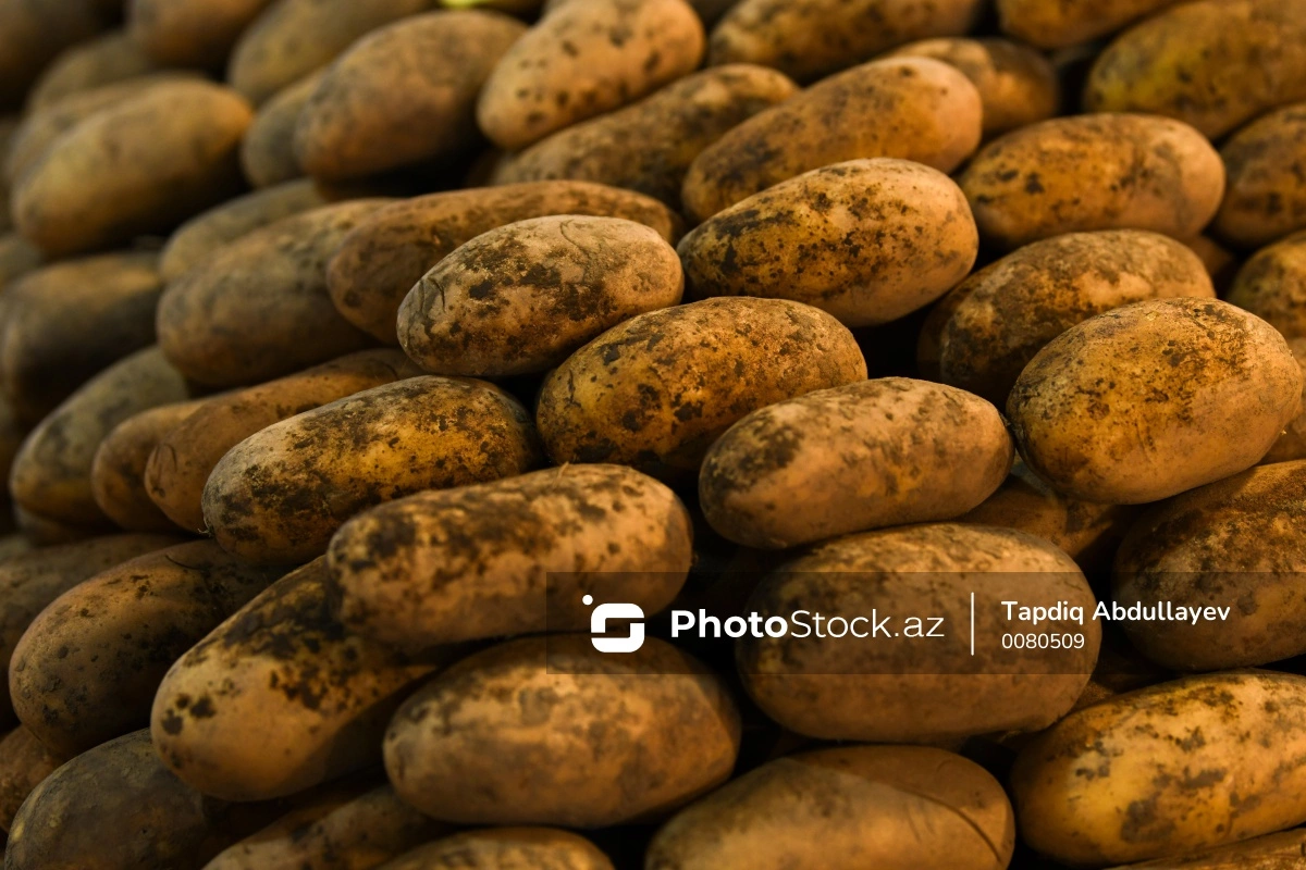 Что на самом деле "разогрело" рынок картофеля в Азербайджане?