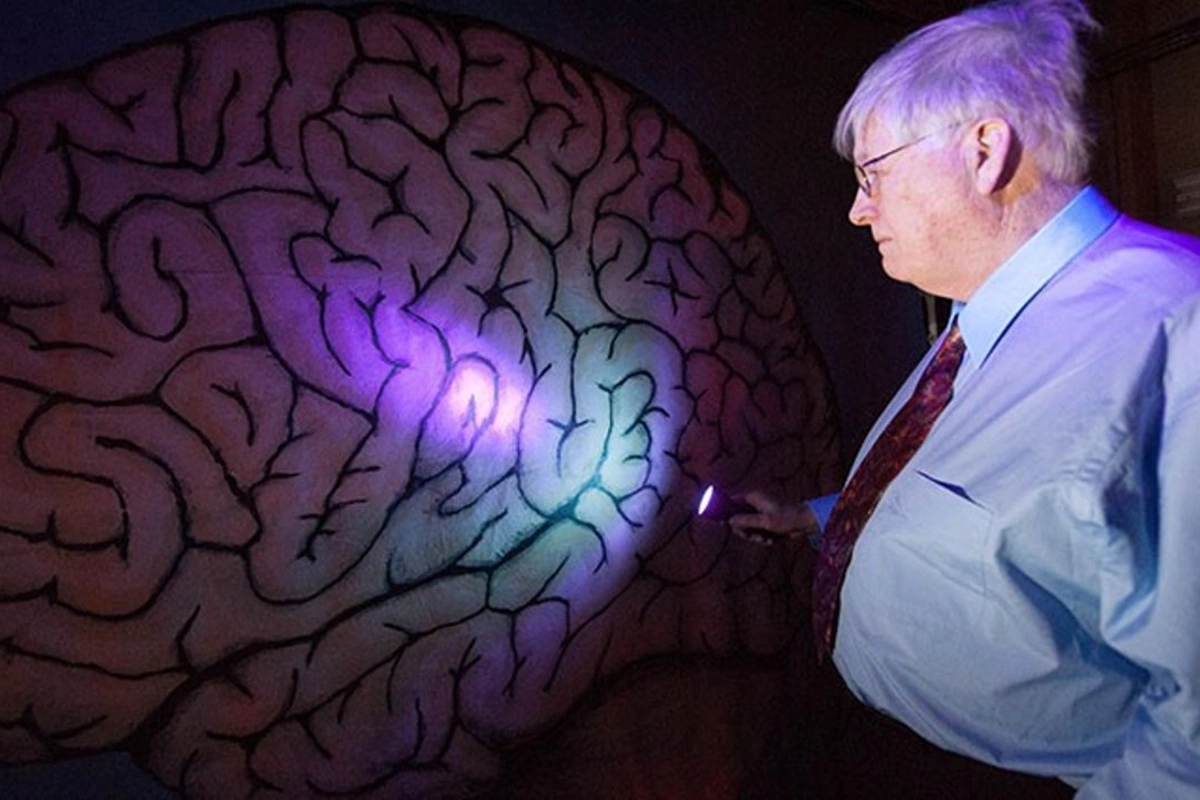 Что случается с мозгом после смерти: шокирующие факты, о которых вы не знали