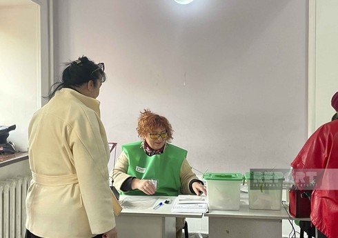 ЦИК Грузии: В окружные комиссии по стране поступило 50 жалоб