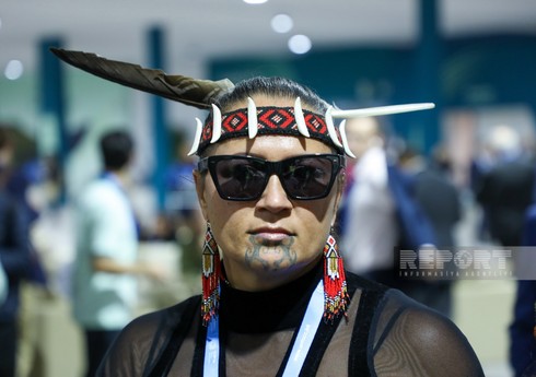 COP29: Делегаты с энтузиазмом начали 9-й день саммита в Баку
