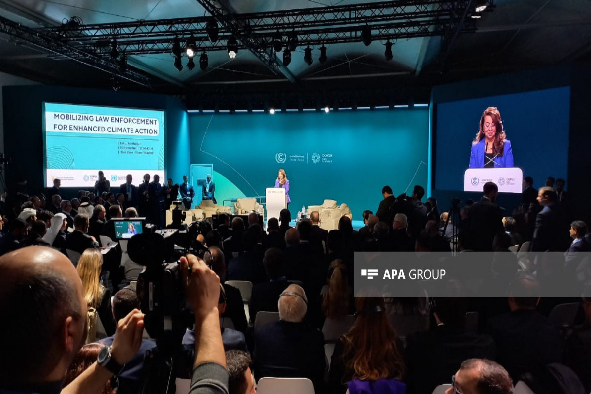 Директор Офиса ООН призвал на COP29 к борьбе с транснациональной преступностью-ФОТО