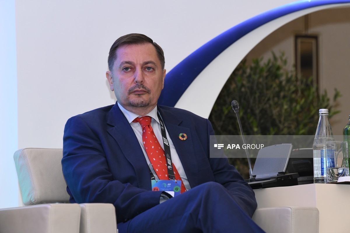 Дмитро Шлапаченко: Азербайджан обладает большими возможностями для превращения в логистический хаб