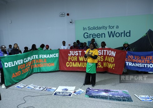 Экоактивисты из Африки призвали к увеличению финансирования ВИЭ-проектов