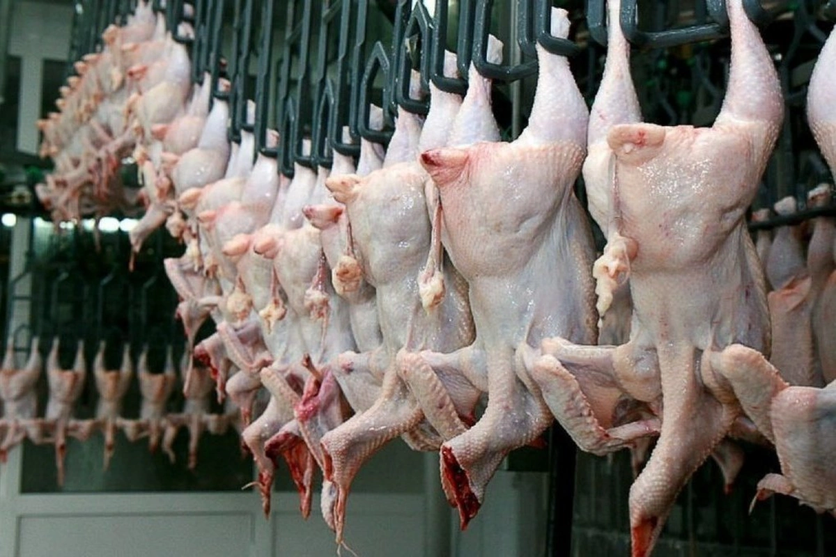 Эксперт раскрыл страшную правду об импортируемых в Азербайджан курах