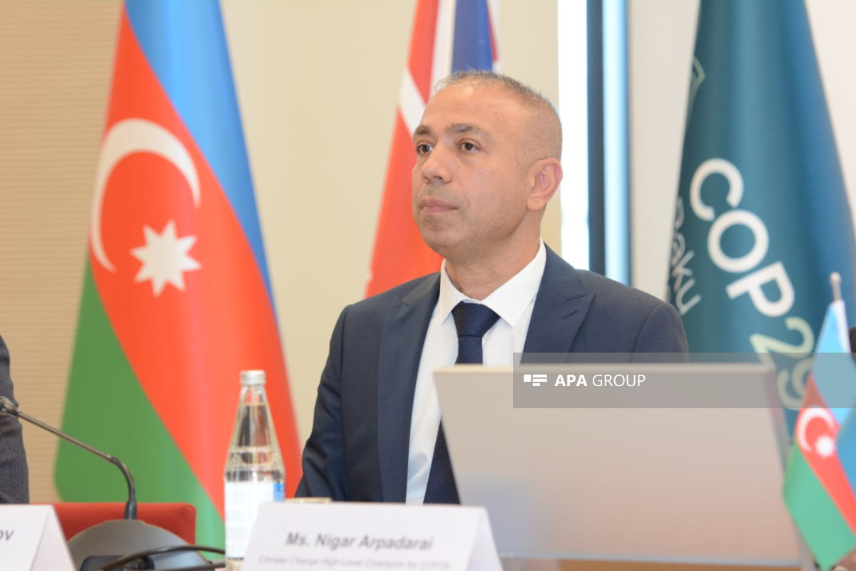 Эльнур Солтанов: Ведутся переговоры по поводу углеродных рынков и ценообразования на углероды