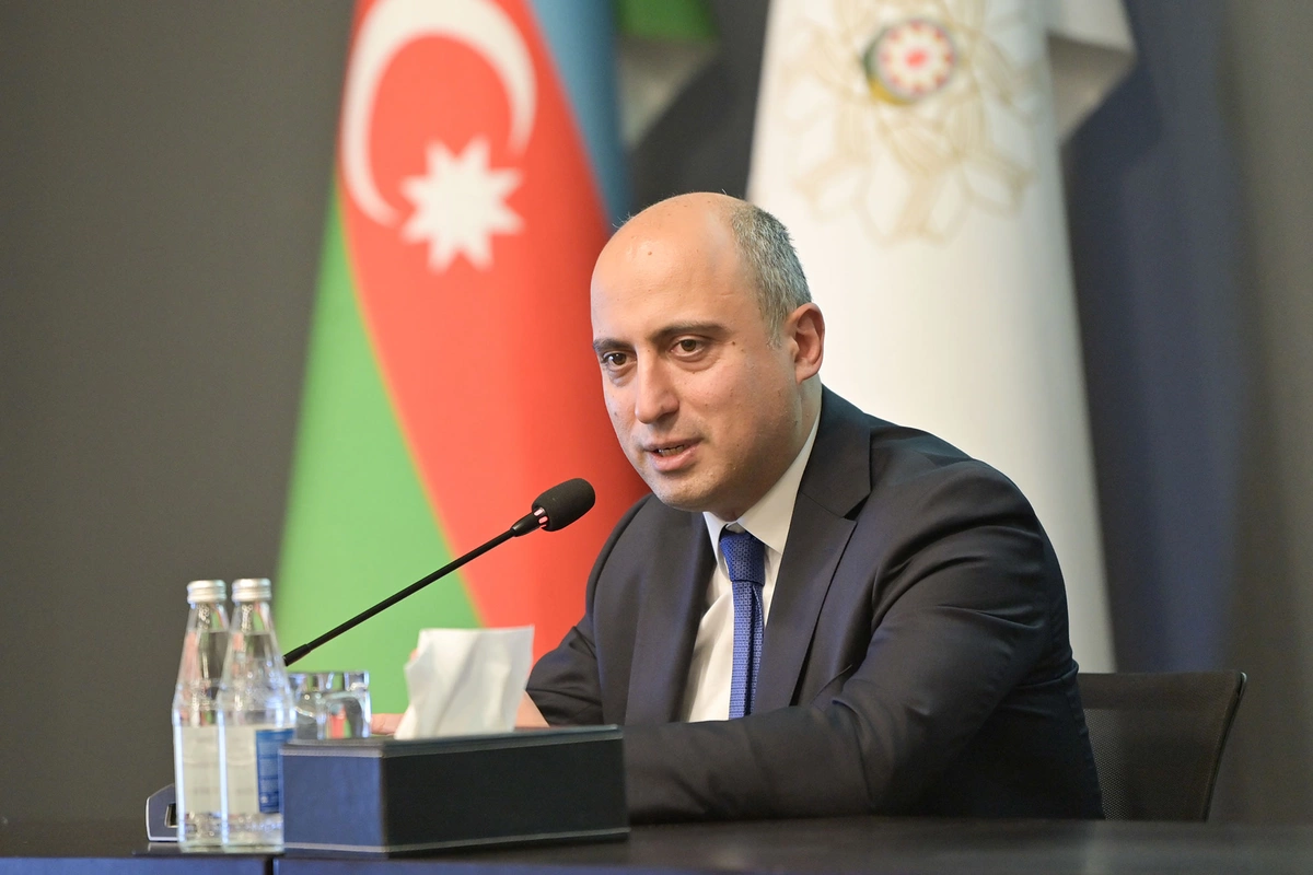 Эмин Амруллаев указал на проблемы читательской грамотности в Азербайджане