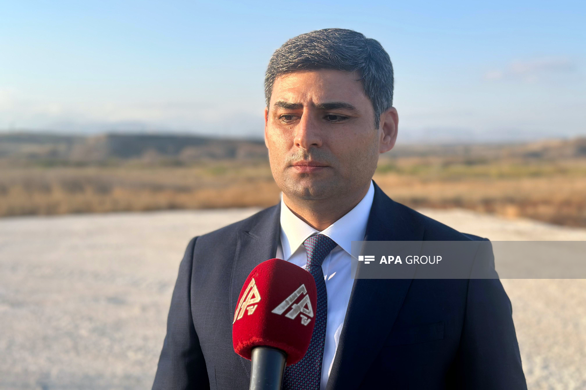 Фабрика в Джабраиле будет ежегодно производить 24 млн племенных яиц