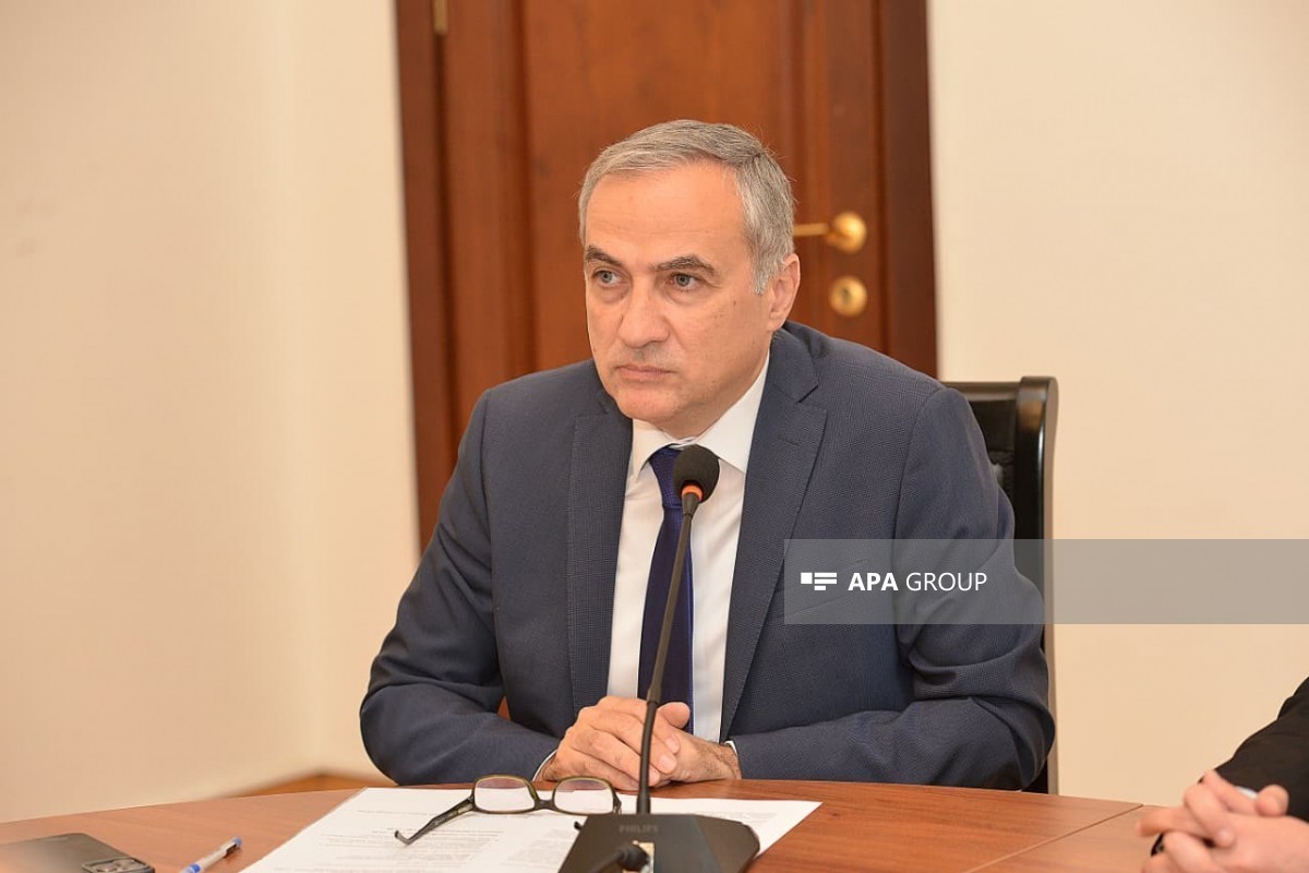 Фарид Шафиев: Против азербайджано-турецкого единства ведутся организованные дезинформационные кампании