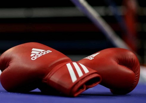 Федерация бокса Нахчыванской АР ликвидирована