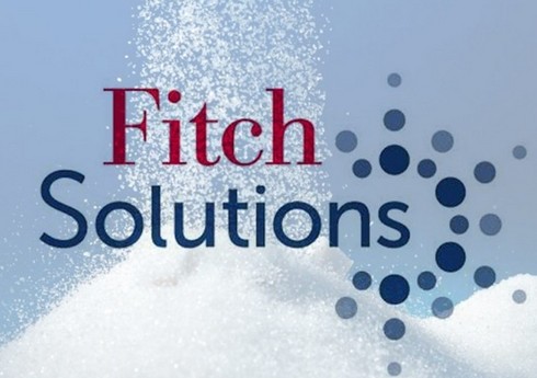Fitch Solutions назвало ключевые факторы в продвижении туризма в 2025 году