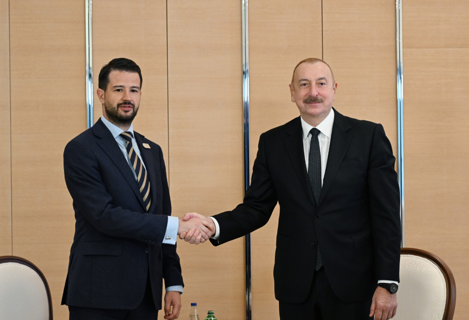 Глава Азербайджанского государства встретился с Президентом Монтенегро-ОБНОВЛЕНО