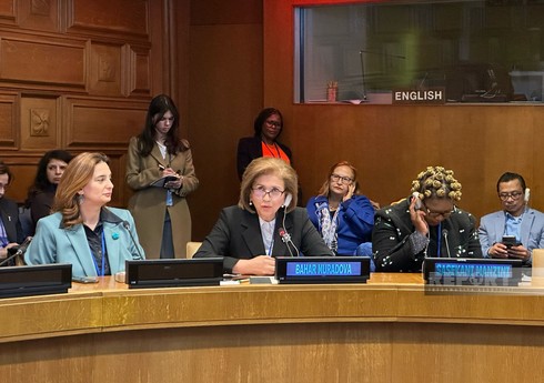 Глава Госкомитета: Азербайджану удалось опередить страны региона по всем параметрам