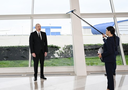 Глава государства: Глупо и бессовестно связывать крушение самолета с птицами или взрывом газового баллона