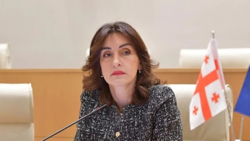 Глава МИД Грузии: Президент действует абсолютно бесконтрольно