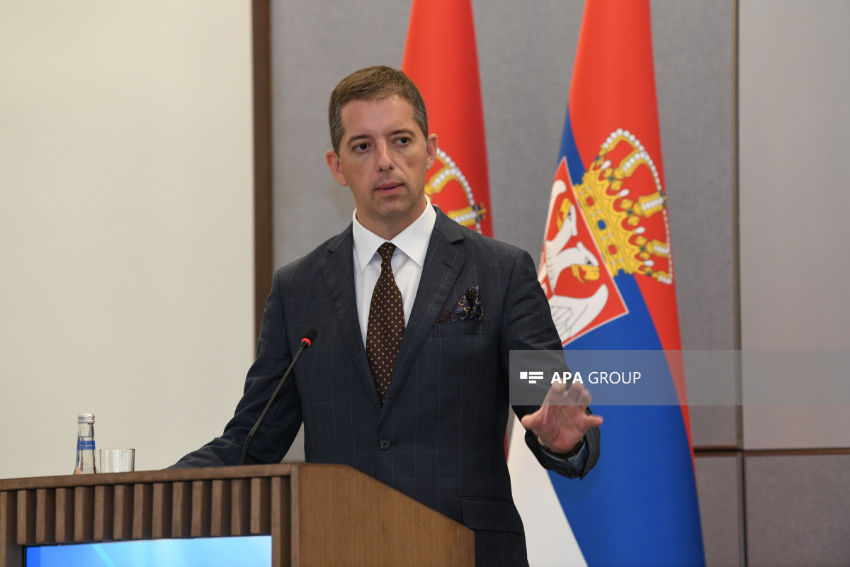 Глава МИД Сербии: Глубоко потрясен крушением азербайджанского самолета