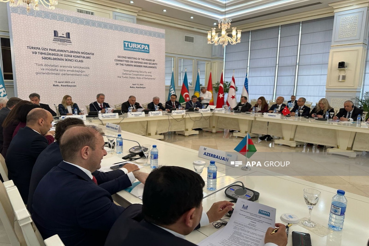 Глава парламентского комитета Турецкой Республики Северного Кипра привела Азербайджан в пример