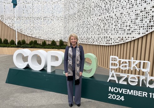 Глава ЮНИСЕФ: Я на COP29, чтобы выступать за срочные климатические меры