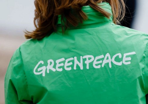Greenpeace призывает на COP29 добиться увеличения финансирования развивающихся стран