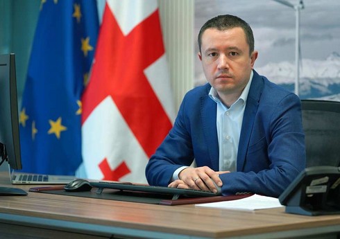 Грузия может предоставить 10-летние налоговые льготы для азербайджанских стартапов