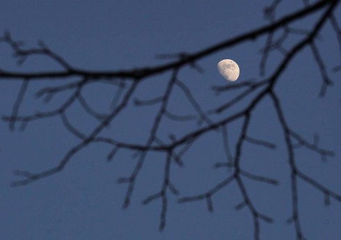 Guardian: "Мини-луна" отдалится от Земли к 2055 году