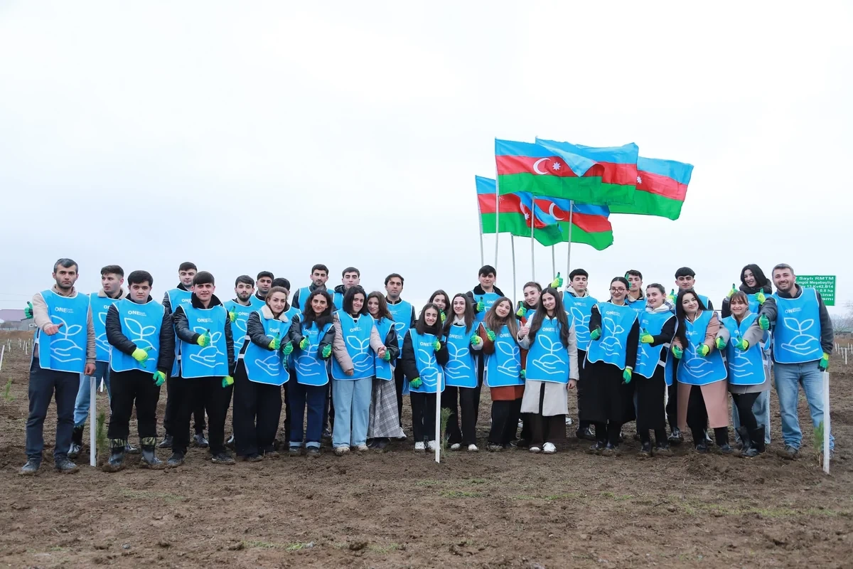 IDEA провело очередные акции по посадке деревьев в Шеки и Габале