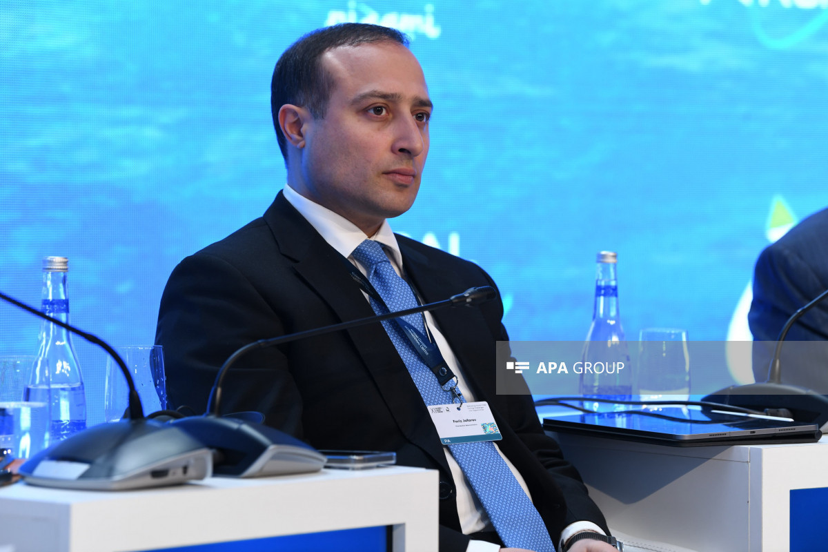 Исполнительный директор: Стратегия цифровой экономики внесет большой вклад в развитие ненефтяного сектора –ИНТЕРВЬЮ