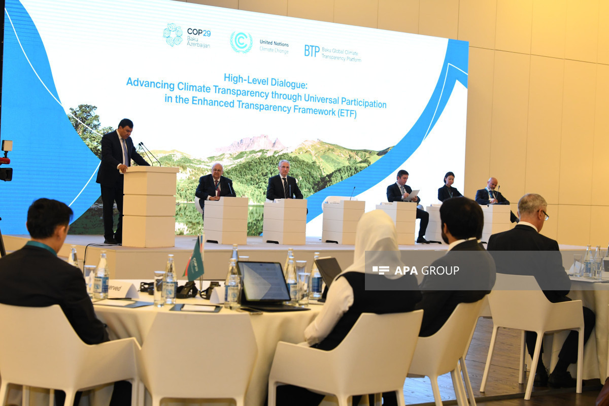 Исполнительный секретарь ООН: Мы должны подготовить международные климатические планы