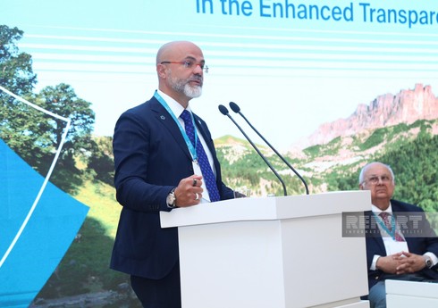 Итальянский профессор: COP29 важна для решения финансовых аспектов борьбы с изменением климата