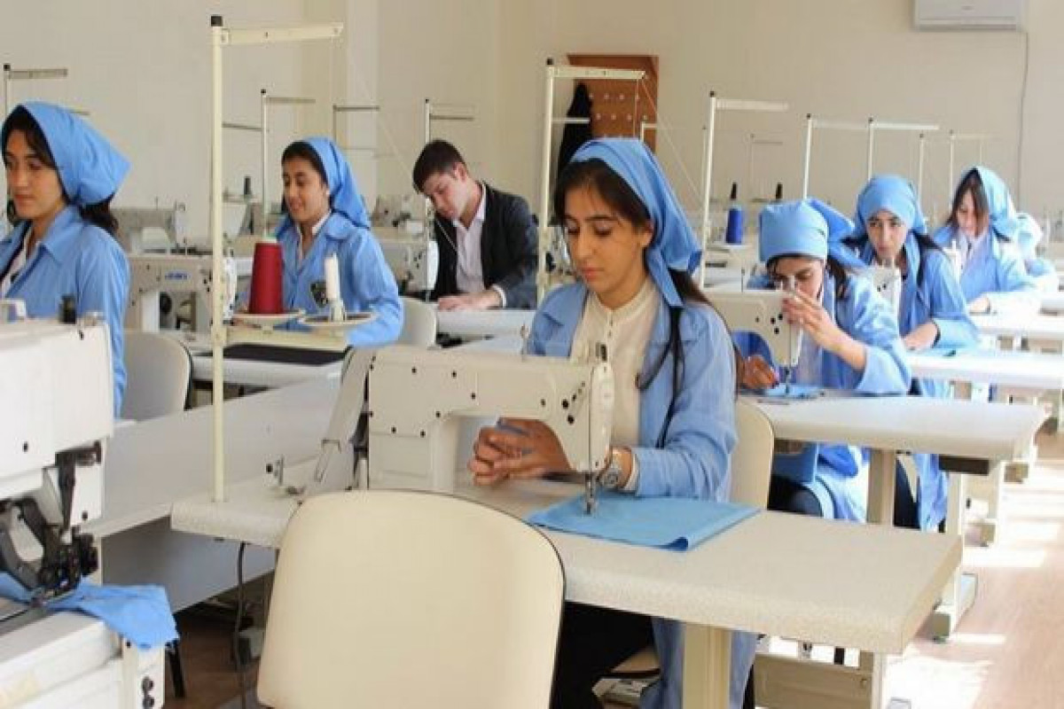 Из Гейчайского профессионального лицея исключены 77 студентов, уволены заместитель директора и главный бухгалтер